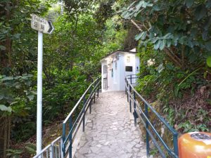 ヴィクトリア・ピーク