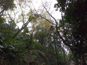 ヴィクトリア・ピーク