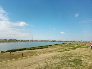 江戸川サイクリングロード