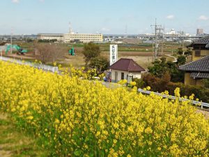 江戸川サイクリングロード