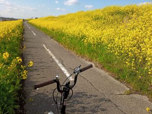 江戸川サイクリングロード