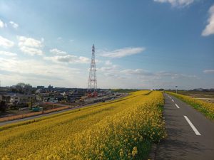 江戸川サイクリングロード